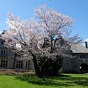 Waterstone is the Rockcliffe Park mansion that is the residence of the Japanese ambassador to Canada..