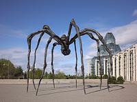 The giant spider sculpture at the National Gallery, by the artist Louise Bourgeois..  