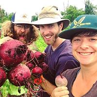 The Beetbox Farmers