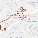The route planned for the walk.  