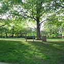 Dundonald Park in Ottawa's Centretown