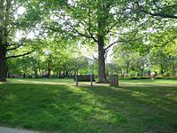 Dundonald Park in Ottawa's Centretown