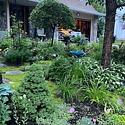 This garden includes a variety of native plants that serve as food and habitat for native animals and polinators.  