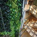 The Living Wall in UOttawa's LEED GOLD Social Sciences Building.