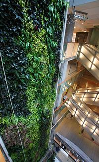 The Living Wall in UOttawa's LEED GOLD Social Sciences Building.