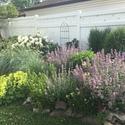 This garden makes use of grasses, perennials, and vines that are all wonderful for pollinators.